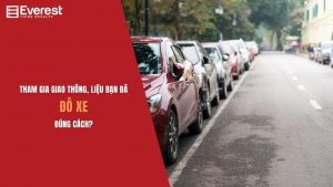 Đỗ xe – Những quy định của pháp luật phải biết!